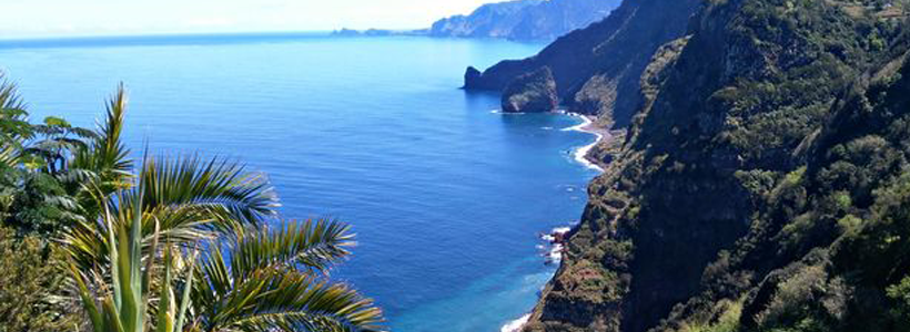  Madeira busca canarios jóvenes y activos para fomentar el turismo en la isla